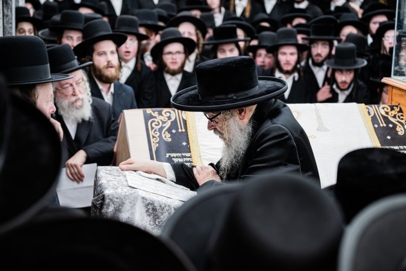 י. שטיין