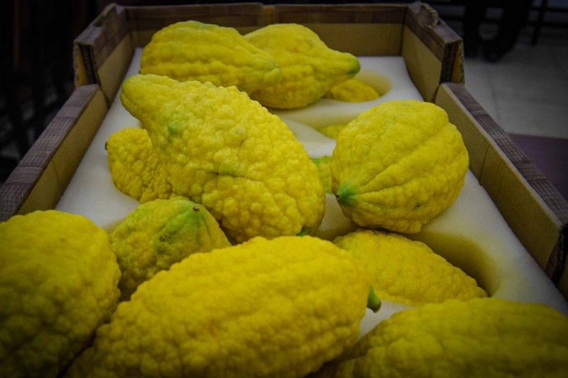 ארי קופרשטוק