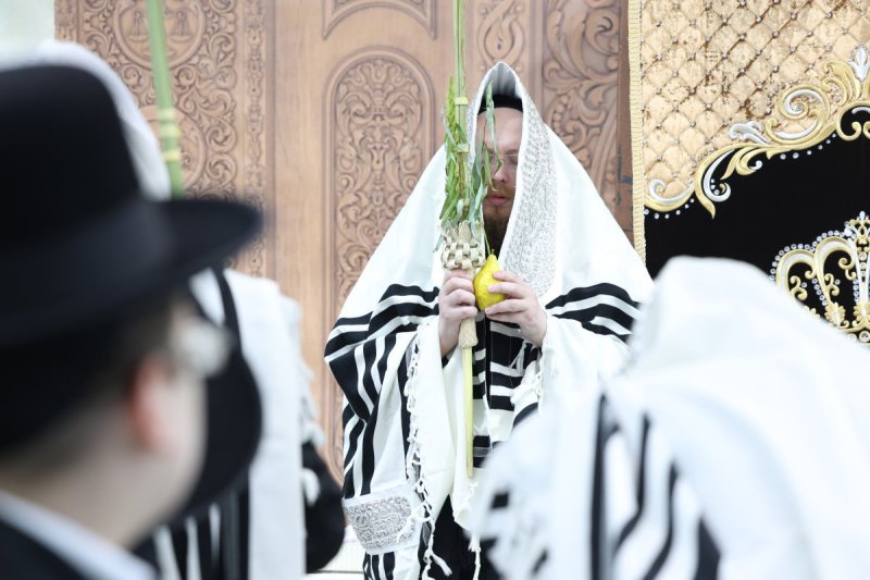 באדיבות המצלם