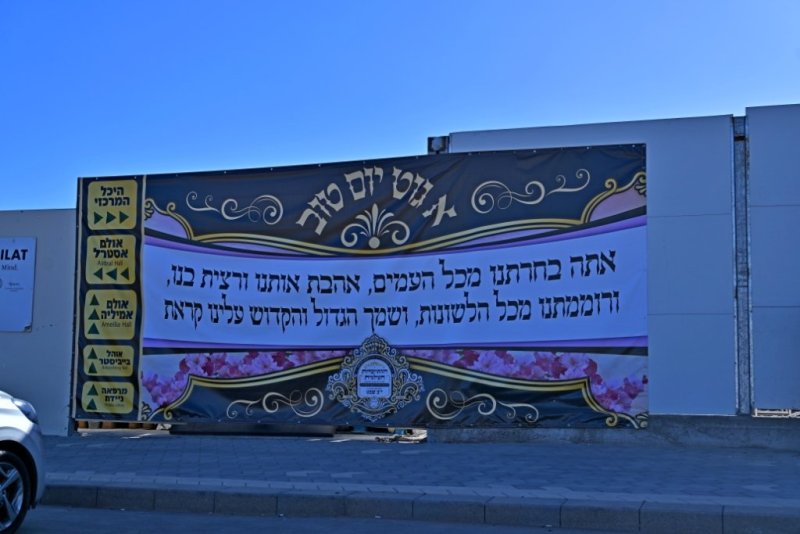 יהושע פרוכטר