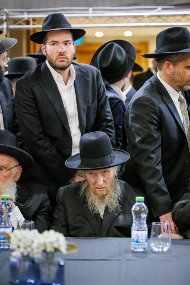 דניאל נפוסי ומאיר זלזניק