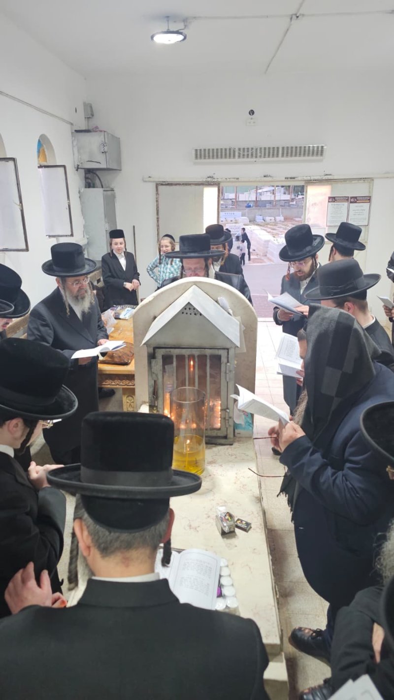 יהודה פרקוביץ