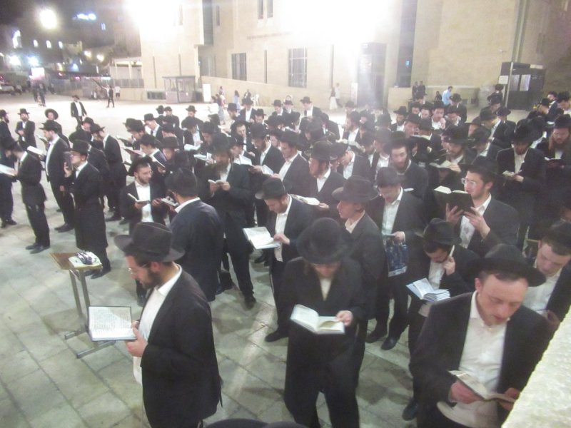 באדיבות המצלם