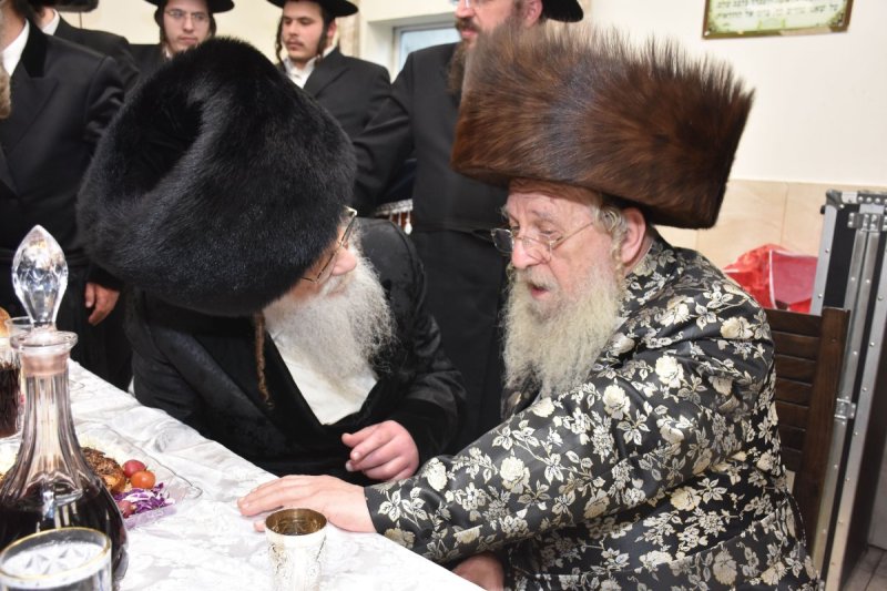 יהודה פרקוביץ