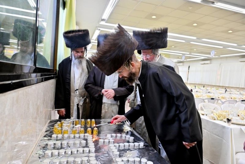 יהושע פרוכטר