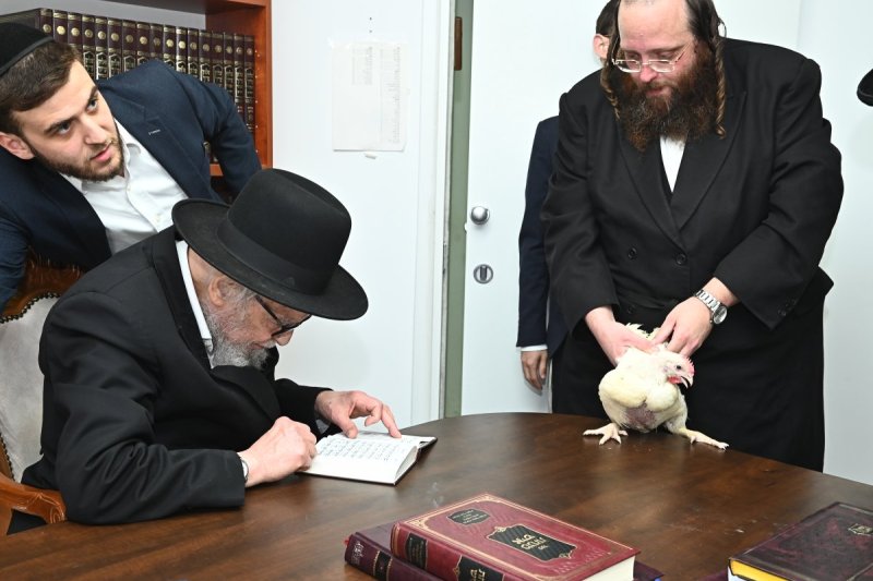 שוקי לרר