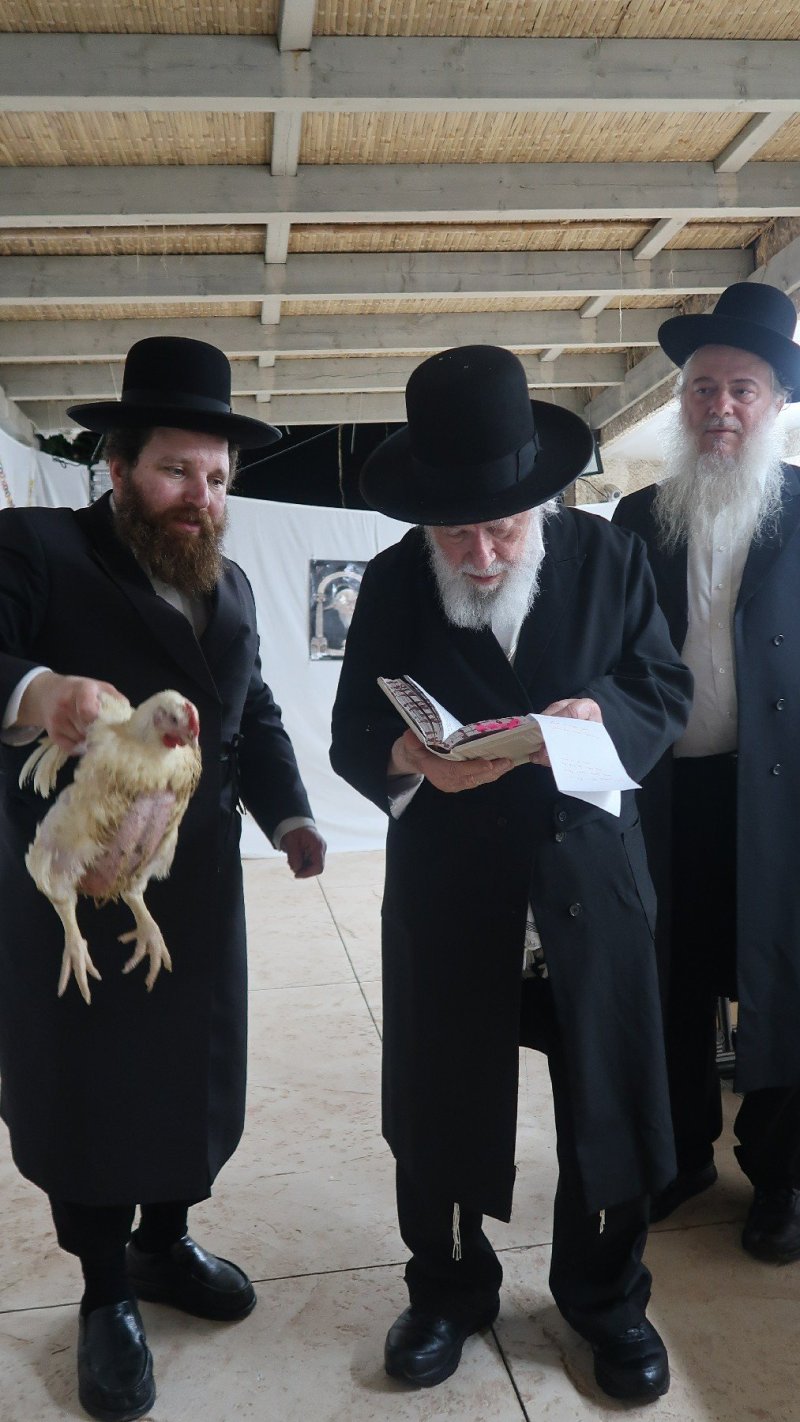 דברי חמד