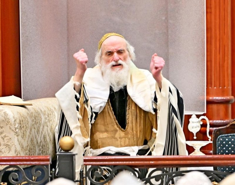 יהושע פרוכטר