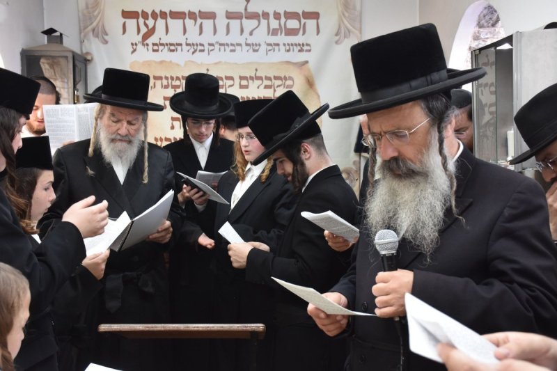 יהודה פרקוביץ