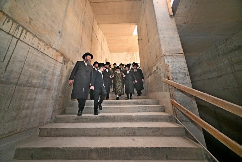 יהושע פרוכטר