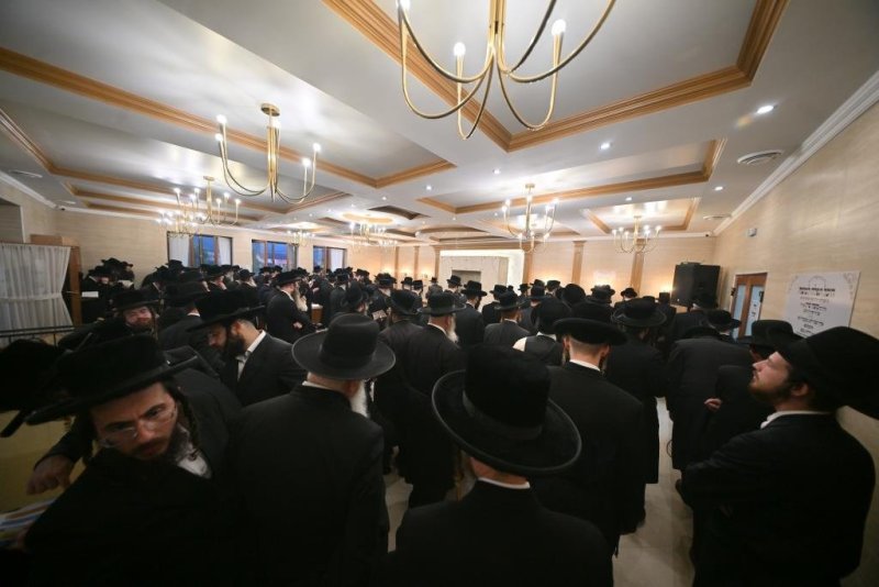 יהושע פרוכטר