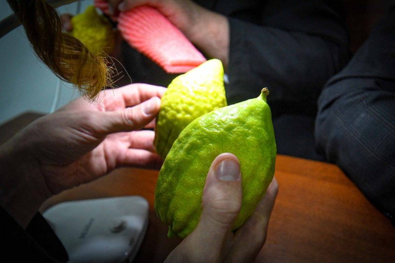 ארי קופרשטוק