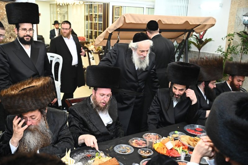 באדיבות המצלם