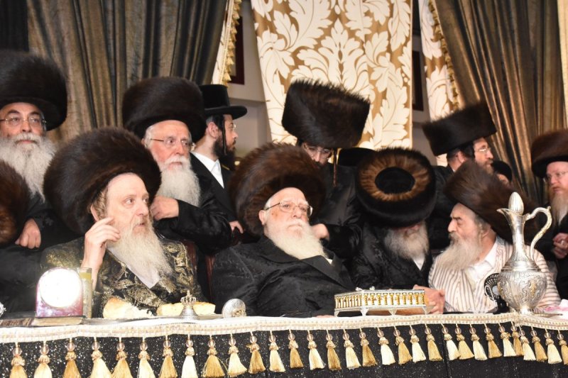 יהודה פרקוביץ