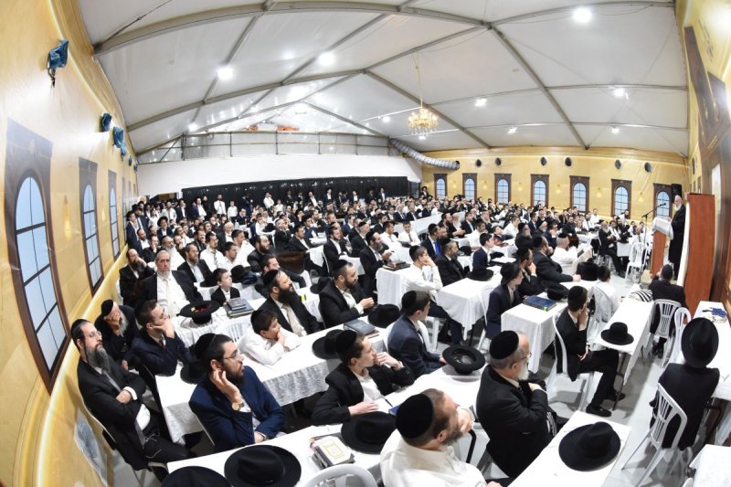 יהודה פרקוביץ