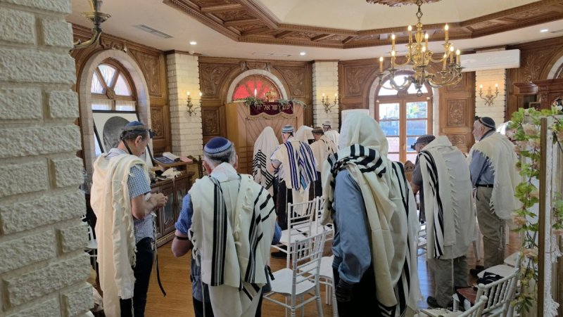 באדיבות המצלם
