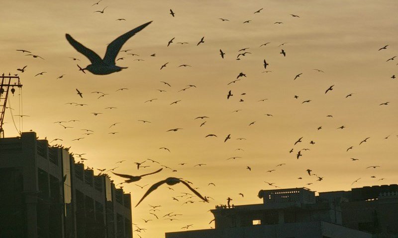 אל תאפסנו את המטריות: מגמת עלייה בטמפרטורות, אך הגשם חוזר ברביעי