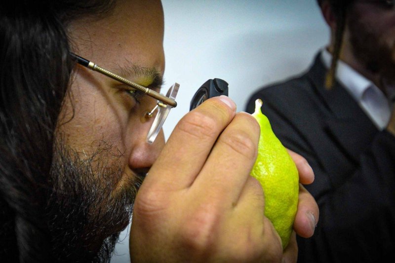 ארי קופרשטוק