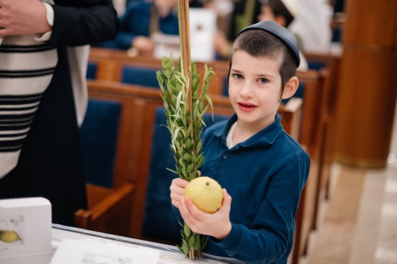 לוי נאזרוב