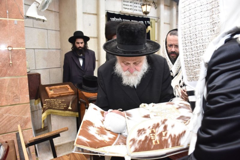 יהודה פרקוביץ