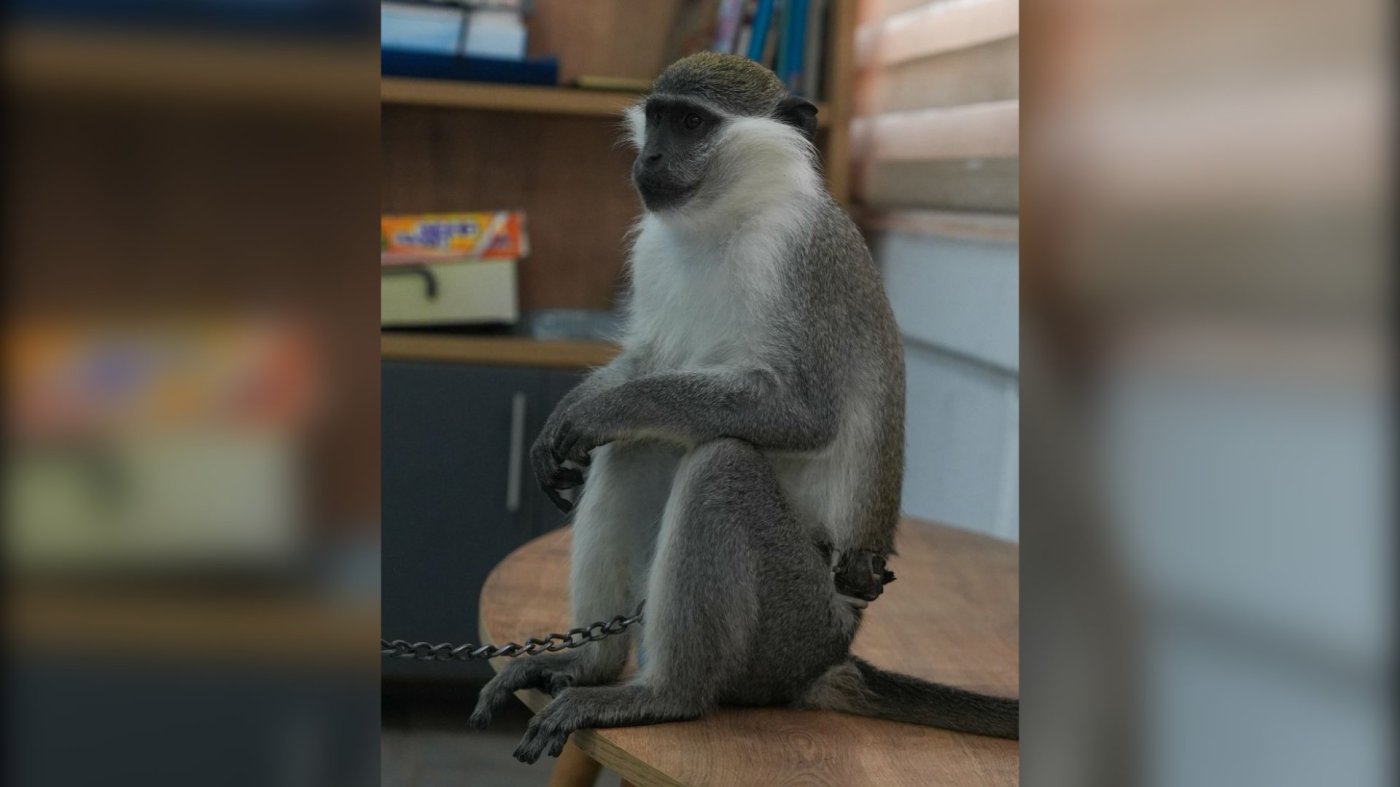 רט"ג / דוברות המשטרה