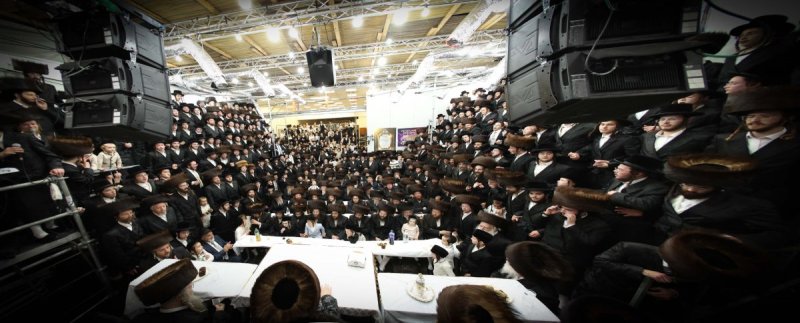 דוד ארזני וארי קופרשטוק