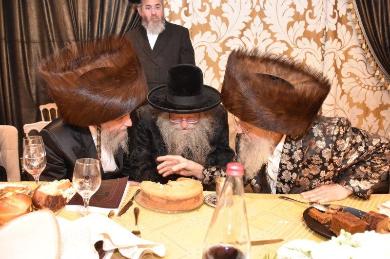 יהודה פרקוביץ