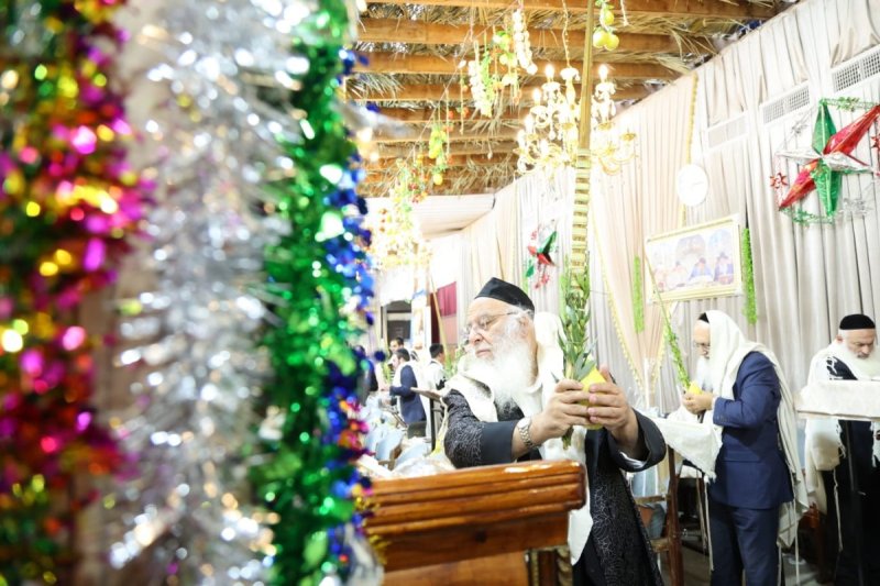 שלומי טריכטר ומ.פ