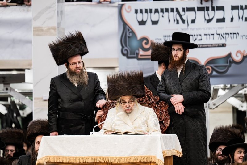 י. שטיין