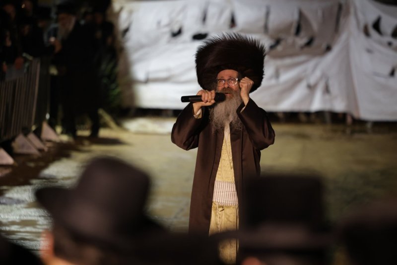 דוד כהן