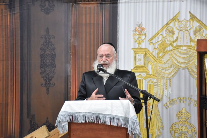 יהודה פרקוביץ