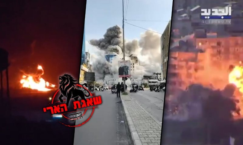 סוף היום: התיעודים שרצו ברשת ביממה האחרונה | שאגת הארי