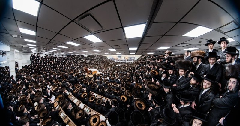 י. שטיין