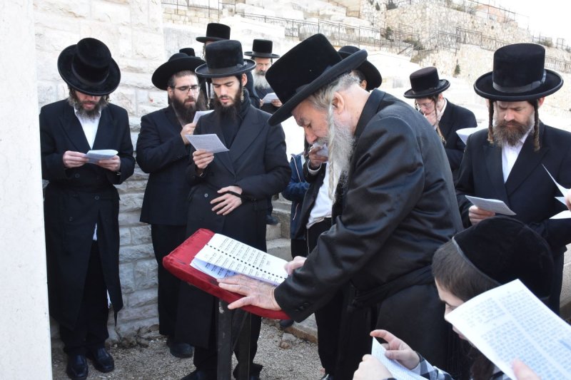 יהודה פרקוביץ