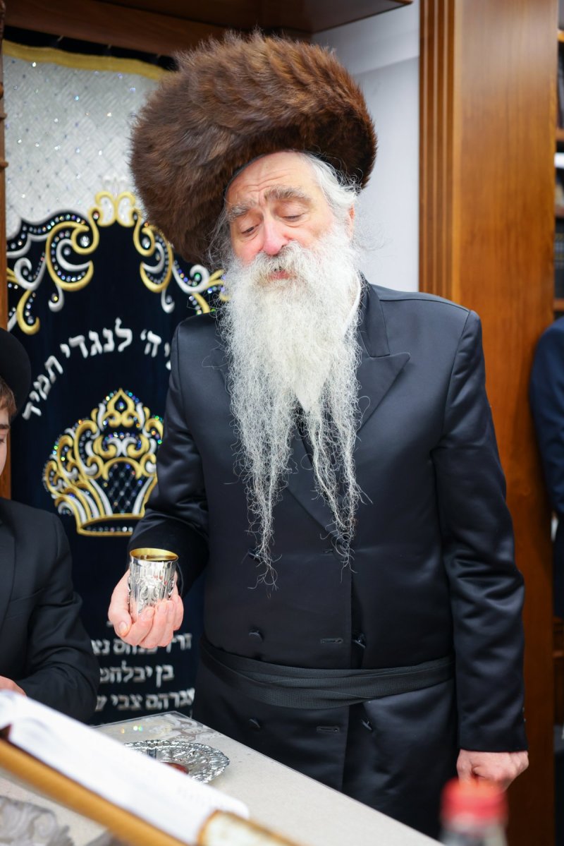 דניאל נפוסי