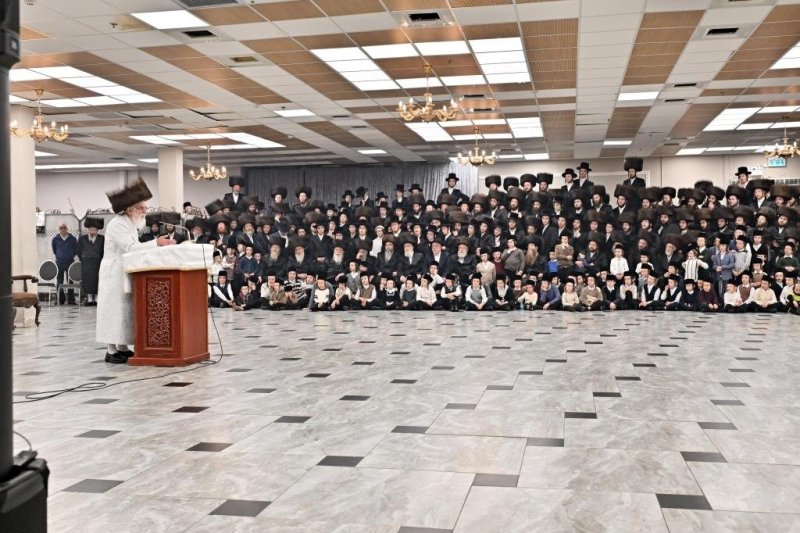 יהושע פרוכטר