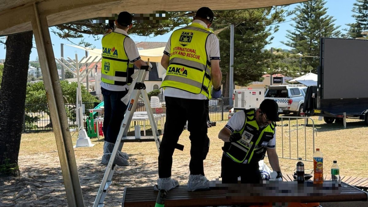 דוברות זק"א