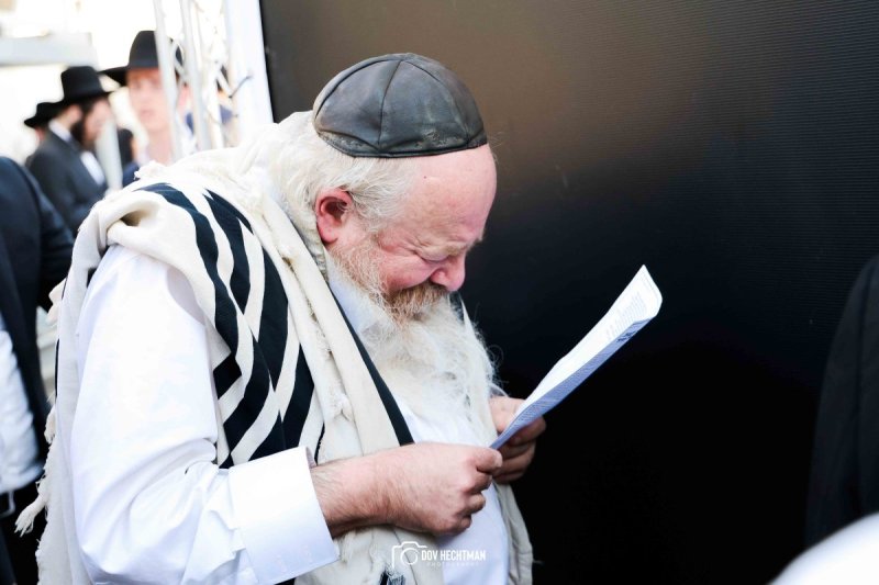 דב בער הכטמן