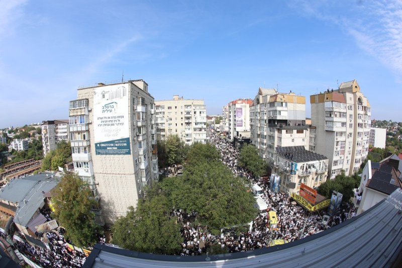 יהודה וויס