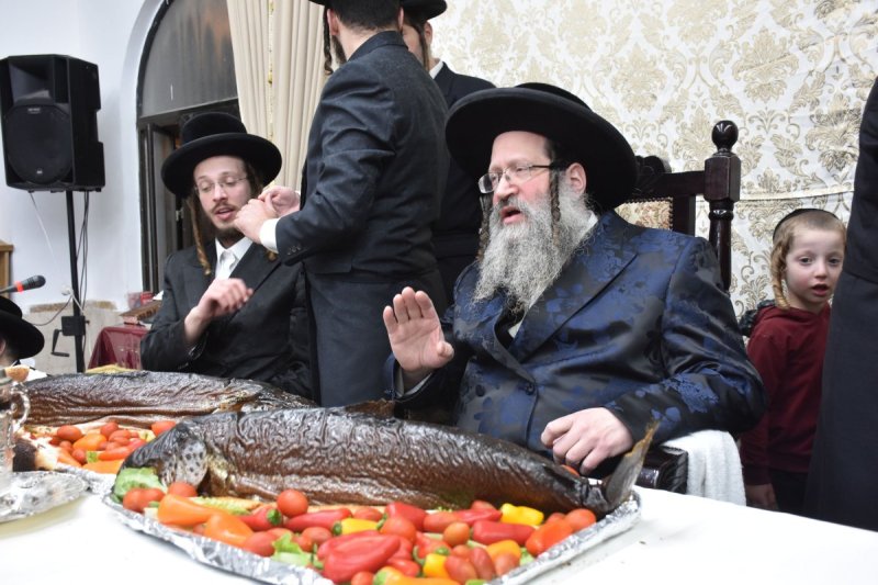 יהודה פרקוביץ