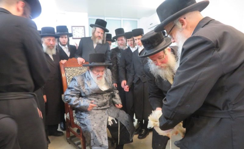 באדיבות המצלם