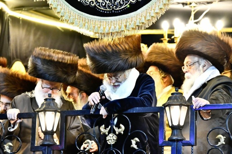שוקי לרר