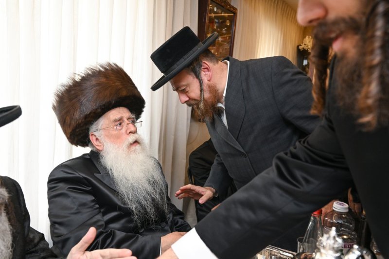 משה גולדשטיין דוד ארזני