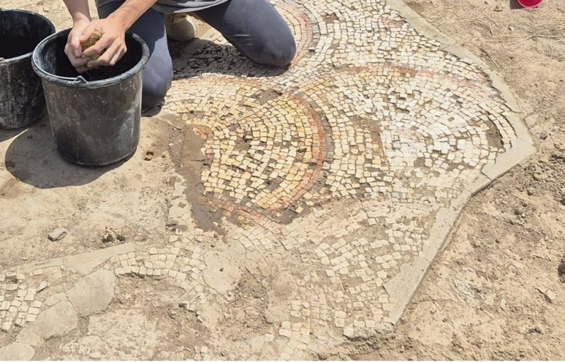 אלה טל חיוט רשות הטבע והגנים