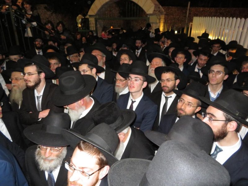 שלומי טריכטר