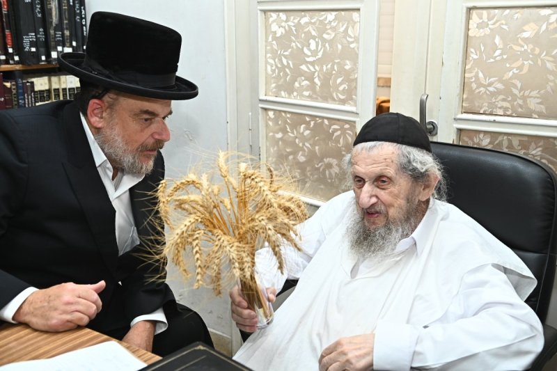 שוקי לרר