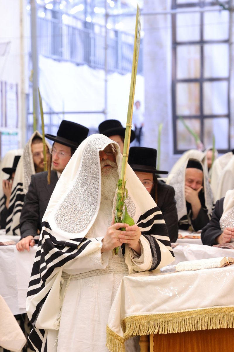 באדיבות המצלם