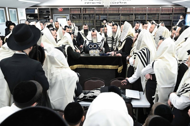 משה גולדשטיין