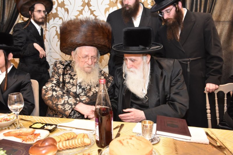 יהודה פרקוביץ