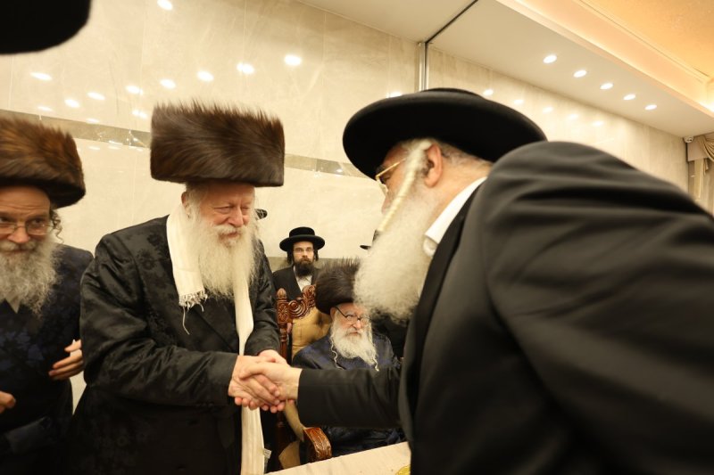 נתי אמרגי